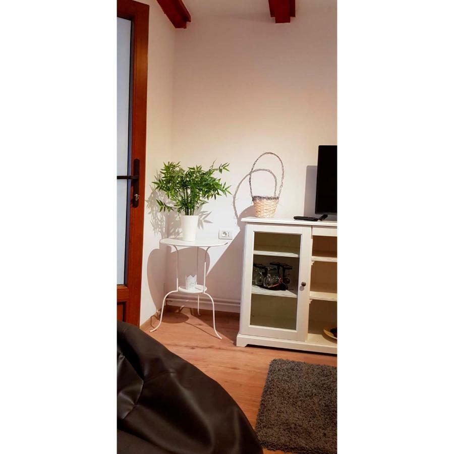 Vaso Apartament Sinaia Extérieur photo